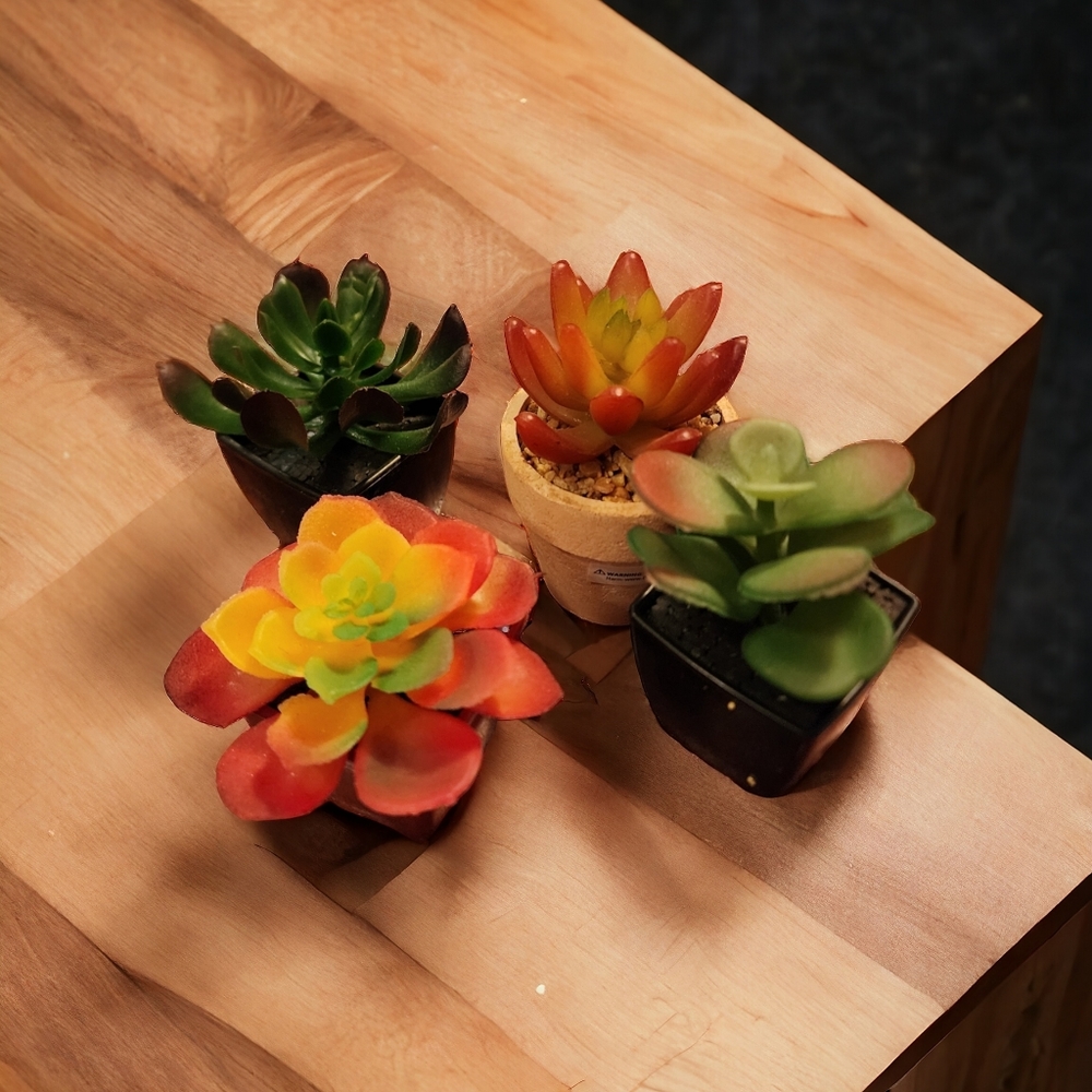 Set of 4 faux Succulents